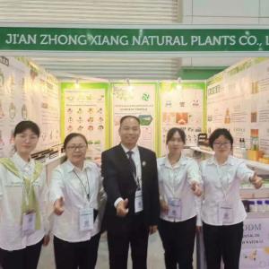 News 10: We went to an exhibition in Thailand