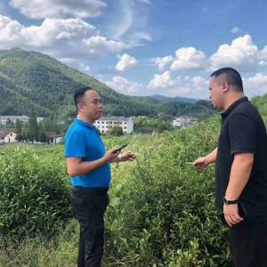 News 15: The general manager personally took the customers to the planting base for visiting