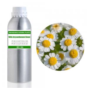 100% Pure and Natural Factory Supply Wild Chrysanthemum Essential Oil Wholesale at Best Price 100% Pure and Natural Factory Supply Wild Chrysanthemum Essential Oil Wholesale at Best Price