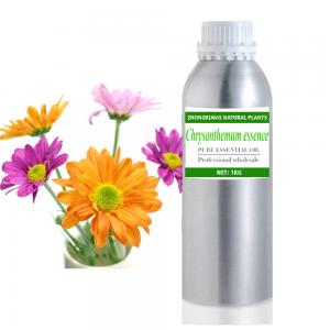 Wholesale 100% pure and natural Chrysanthemum essence oil for cosmetic and perfume making