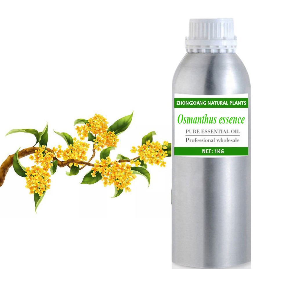 Wholesale osmanthus essence Oil for cosmetic and perfume making bulk