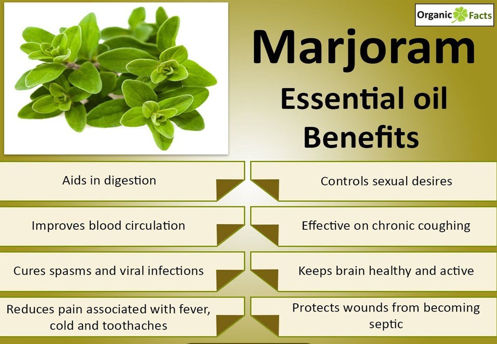 Marjoram clearance essential oil
