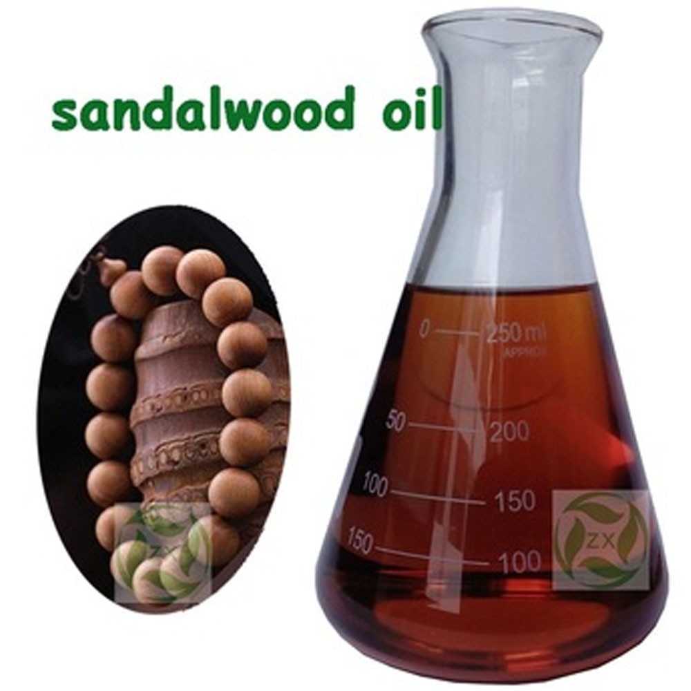 24 hours lead time Wholesale india sandalwood oil 100% pure in bulk price
