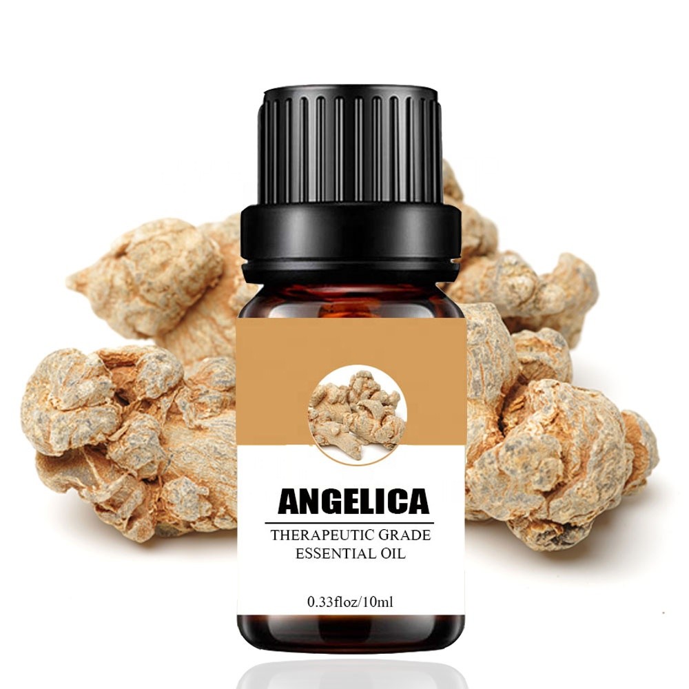 Factory Supply Angelica root Essential Oils 100% Pure and Natural Chinese herb oil bulk