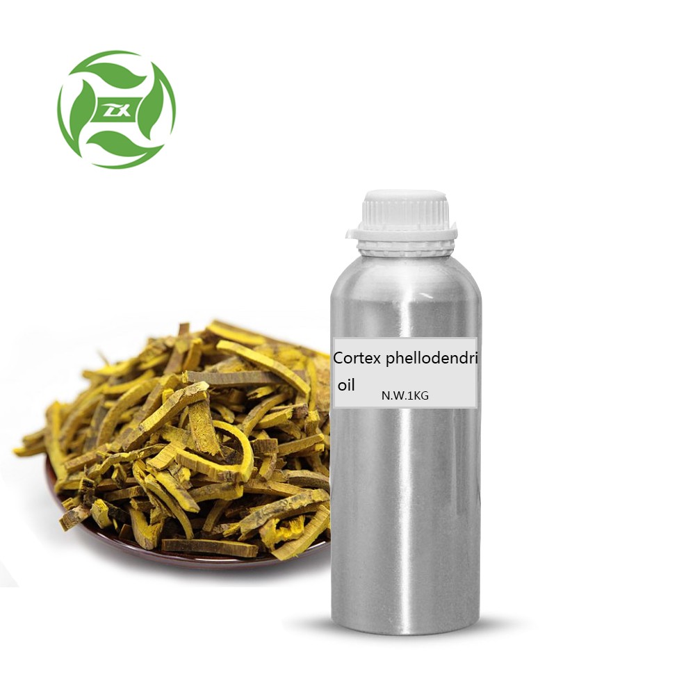 100% Natural Pure Cortex phellodendri oil bulk herbal oil OEM