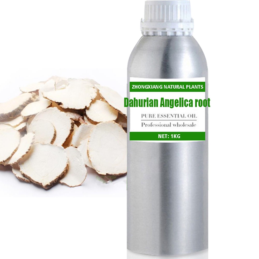Factory Supply Dahurian Angelica root Essential Oils 100% Pure and Natural Chinese herb oil bulk