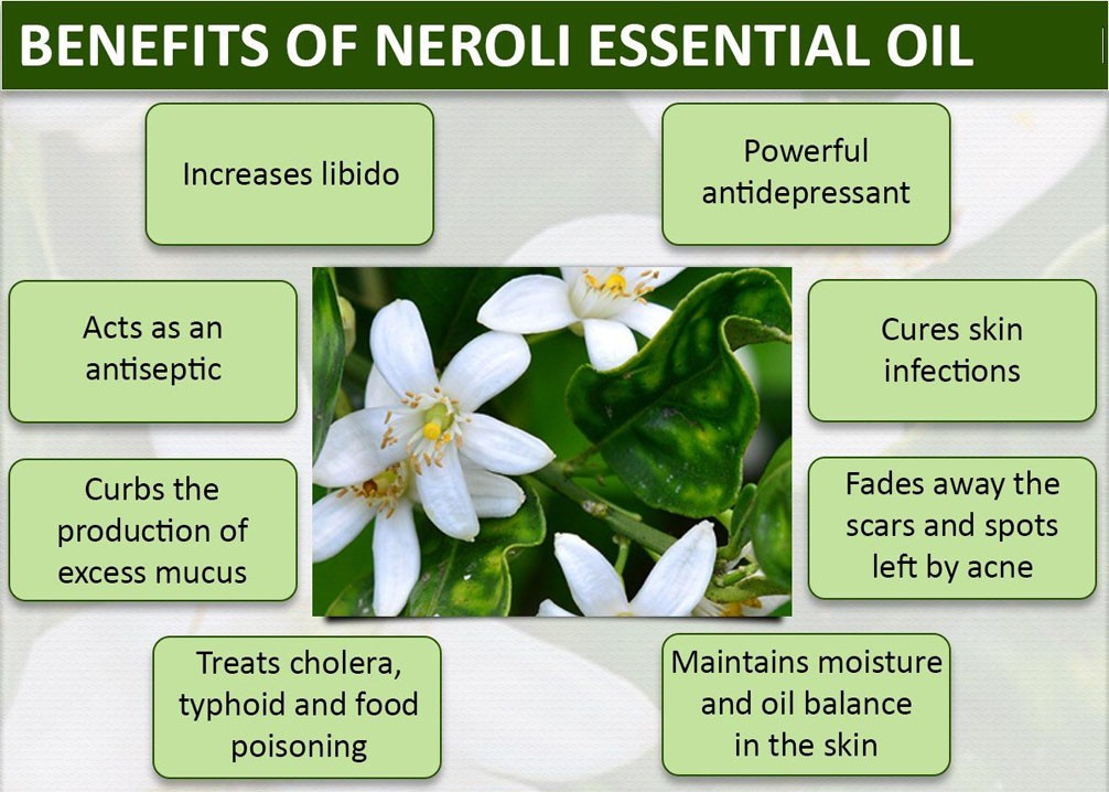 Factory Supply High quality Organic Neroli Essential Oil/ orange blossom oil