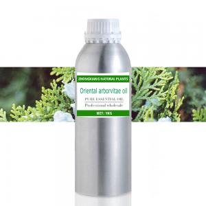 Factory Supply Oriental arborvitae oil 100% Pure Natural Therapeutic Grade for Aromatherapy Non-GMO in Big Drum Factory Supply Oriental arborvitae oil 100% Pure Natural Therapeutic Grade for Aromatherapy Non-GMO in Big Drum