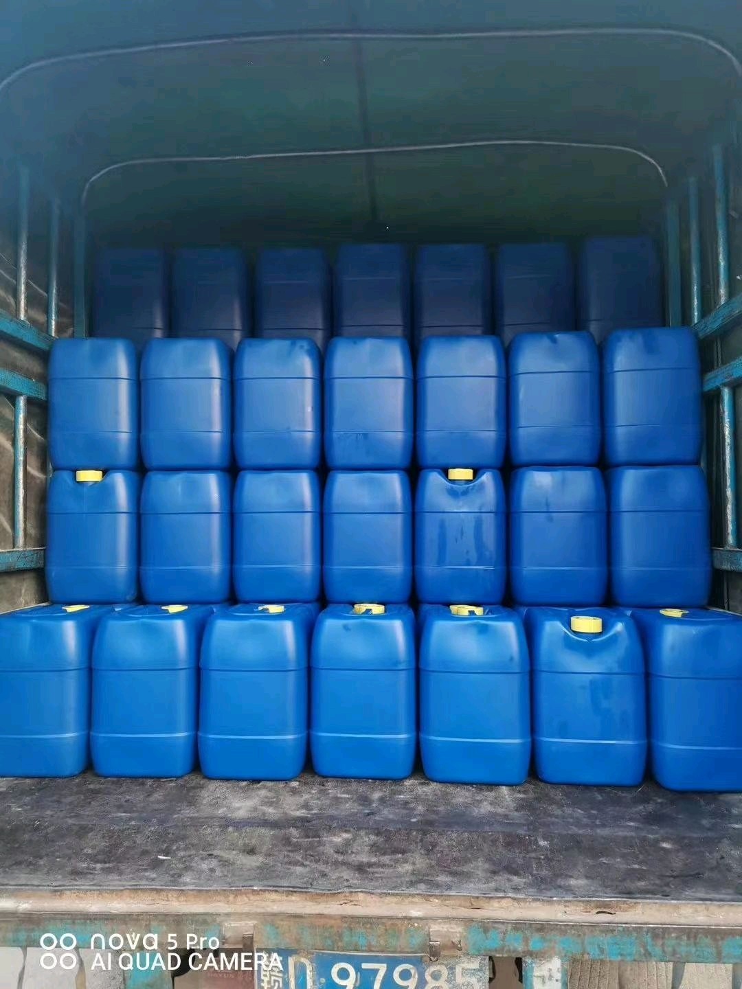 Factory Supply Oriental arborvitae oil 100% Pure Natural Therapeutic Grade for Aromatherapy Non-GMO in Big Drum