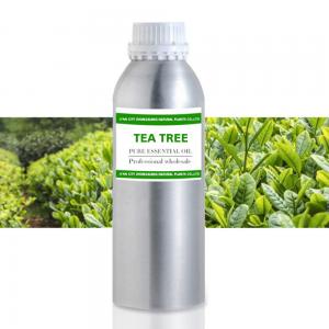 Factory supply 100% pure and natural Australia tea tree essential oil at bulk price Factory supply 100% pure and natural Australia tea tree essential oil at bulk price