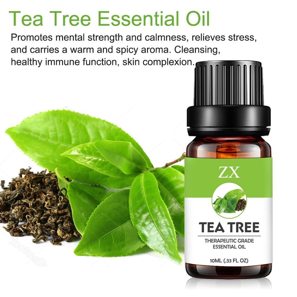 Factory supply 100% pure and natural Australia tea tree essential oil at bulk price