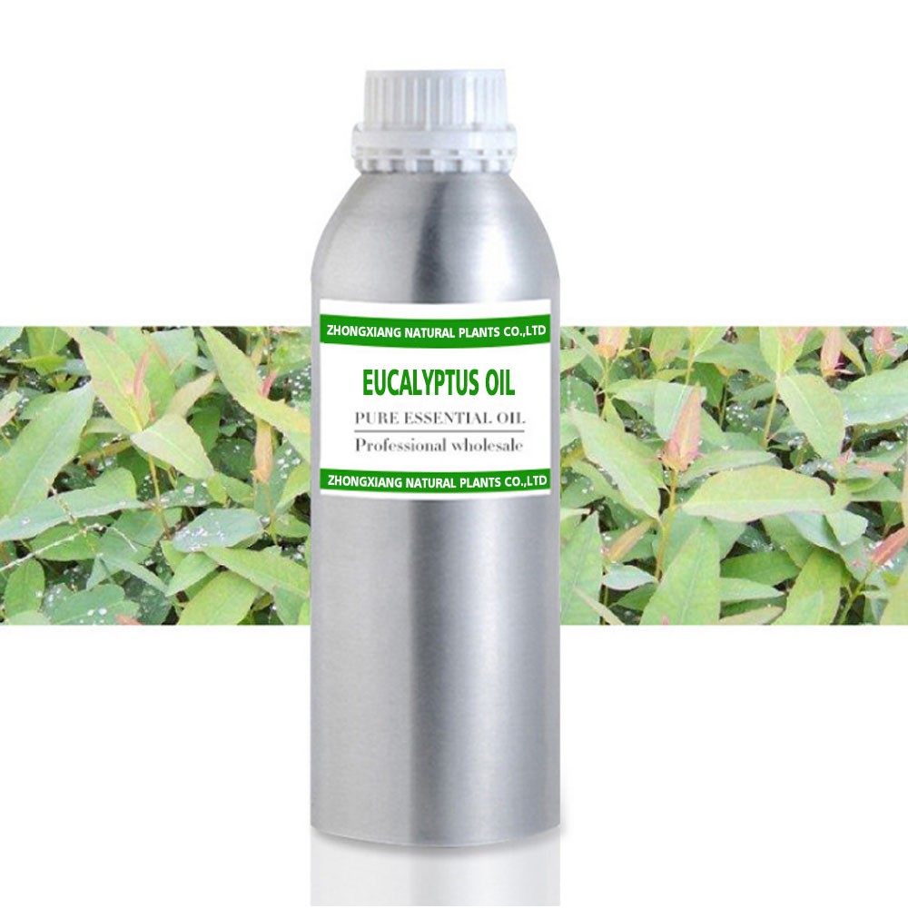 Factory supply 100% pure and natural eucalyptus essential oils in bulk price