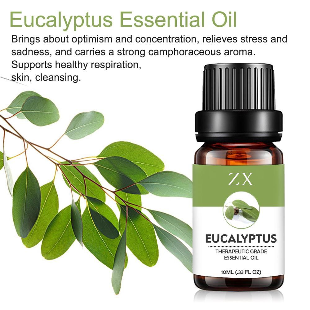 Factory supply 100% pure and natural eucalyptus essential oils in bulk price
