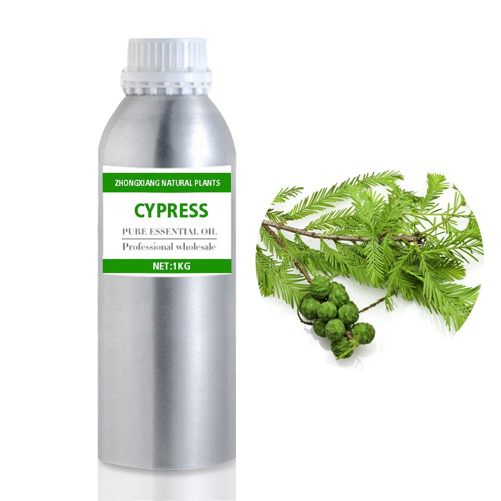 Factory supply 100% pure therapeutic grade cypress essential oil for wholesale