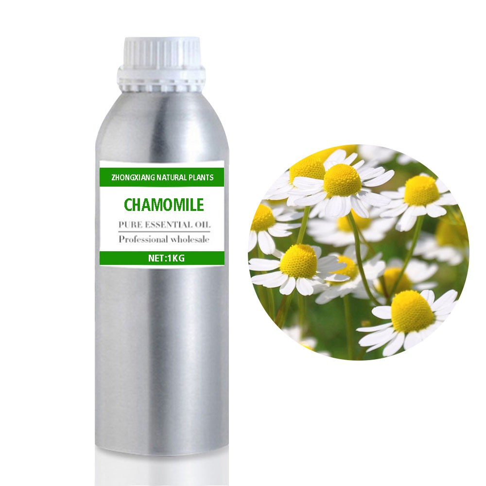 Factory supply high quality chamomile essential oil for wholesale