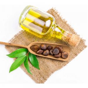 Factory supply 100% natural camellia seed oil for cosmetic