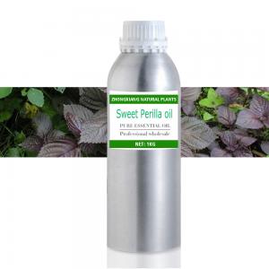 Manufacturer Supply High Quality 100% Pure Natural Sweet Perilla Seed Leaf Essential Oil skin care In Bulk Price