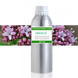 Manufacturer Supply Bulk Valerian Essential Oil Low Price High Quality Pure Valerian Root Oil Manufacturer Supply Bulk Valerian Essential Oil Low Price High Quality Pure Valerian Root Oil
