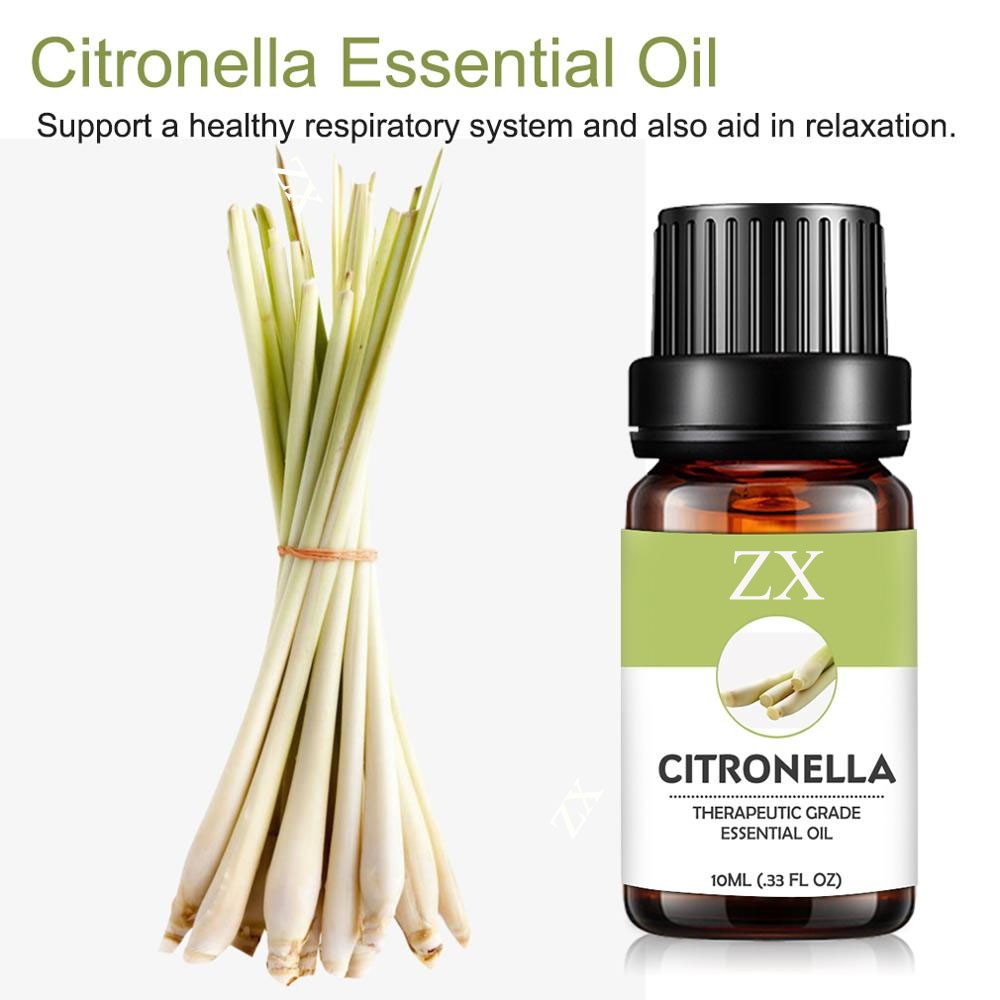 Manufacturer supply 100% pure citronella essential oil for repelling mosquito