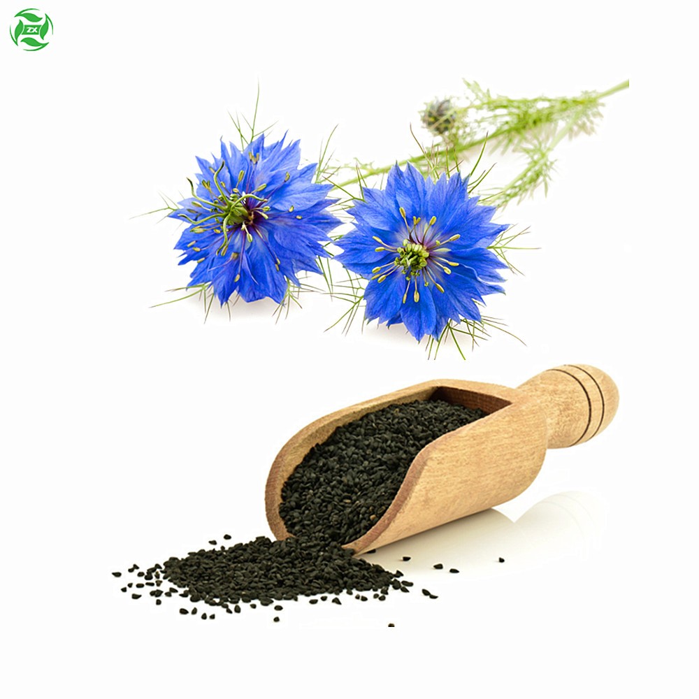 Manufacturers Direct Sell Natural Plant Pure Cold Pressed Virgin Black Seed Oil