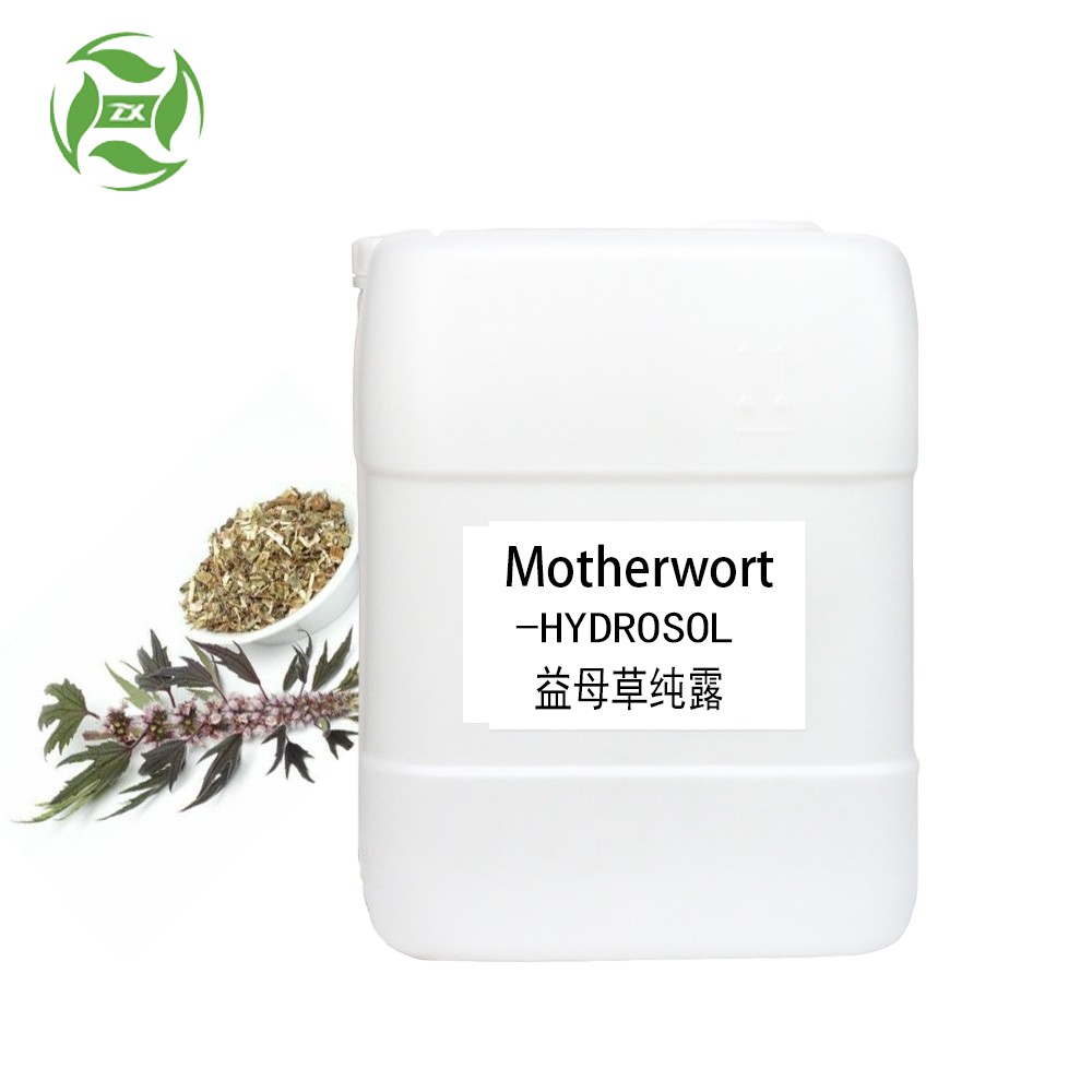 OEM Custom Private Label Motherwort Herba Leonuri Hydrosol Hydrolate Extract Liquid Factory Supply for Ebay/Wish/Amazon Seller