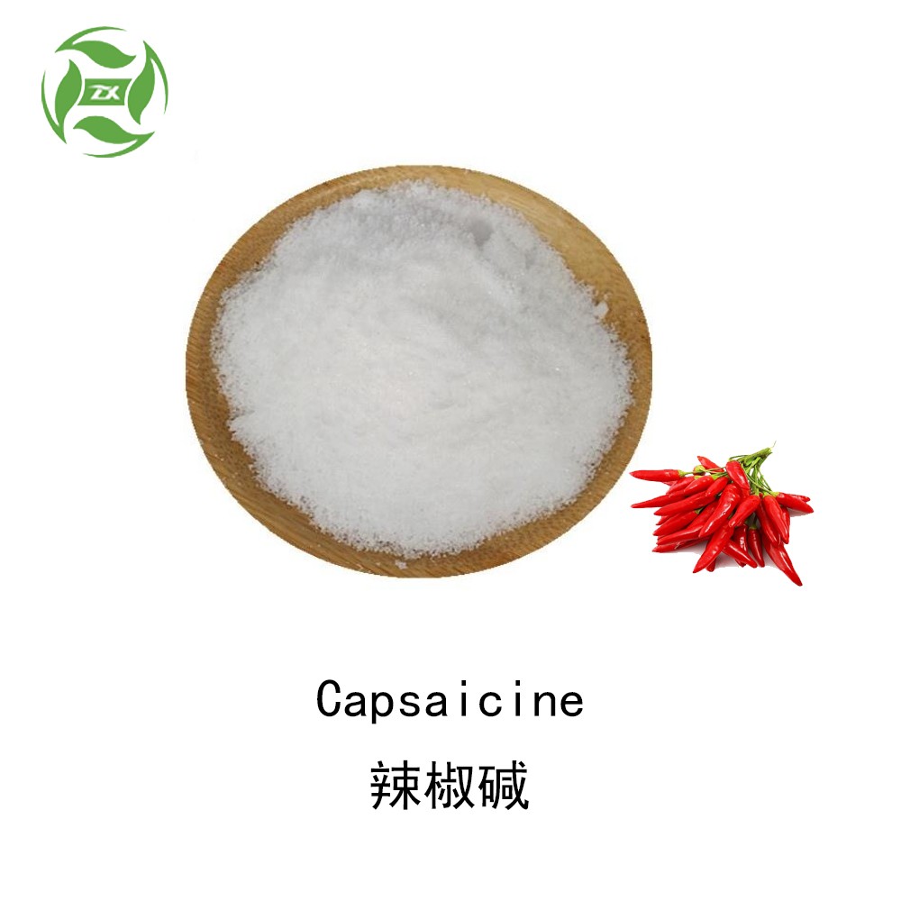 Pharmaceutical Grade Pure capsaicin price 99% capsaicin powder in bulk