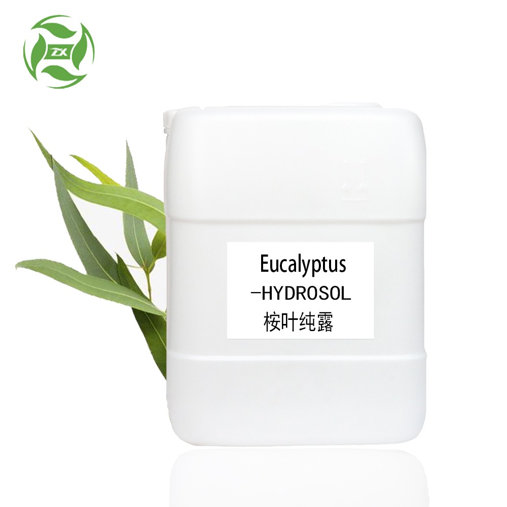 Organic Eucalyptus Hydrosol Manufacturer and Supplier Wholesale Bulk Prices