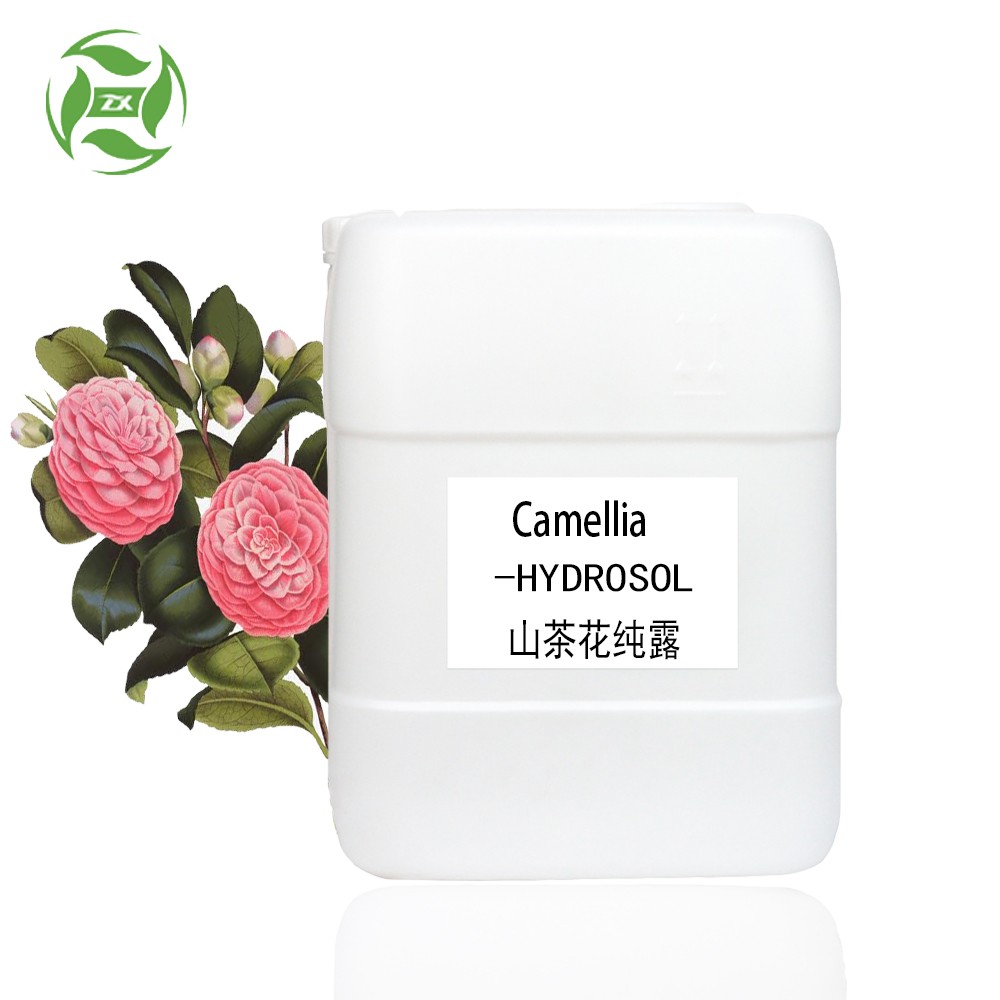 Cosmetic Grade Natural Camellia Flower Hydrosol for Skin Care, Camellia Flower Hydrosol Hydrolate with Low Price