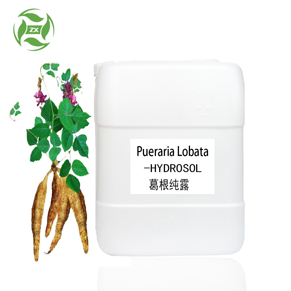 Natural Ginseng Hydrosol for Skin Care Moisturizing Ginseng Hydrosol Hydrolate with Low Price