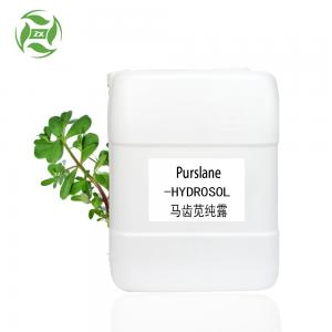 Purslane Hydrosol Private Label for Skin Care GMP and ISO Certificate Purslane Hydrosol Private Label for Skin Care GMP and ISO Certificate