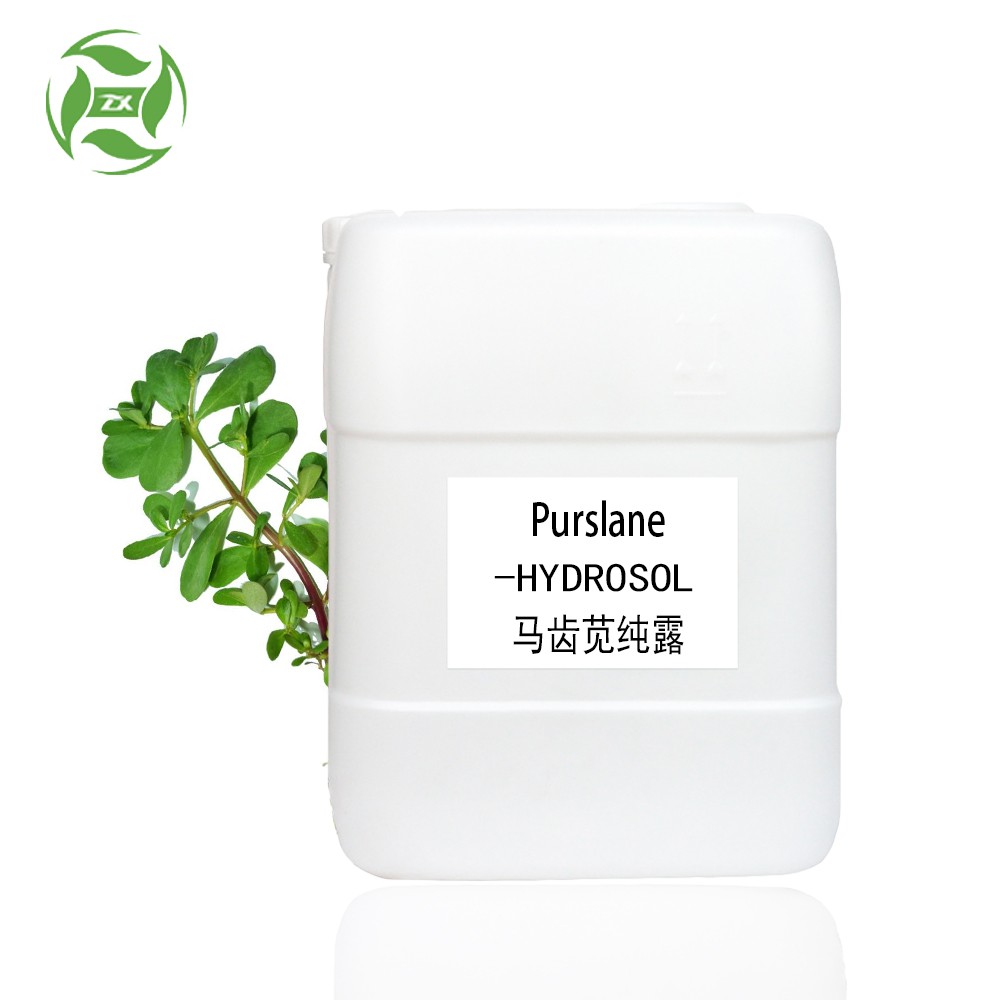 Purslane Hydrosol Private Label for Skin Care GMP and ISO Certificate
