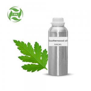 Factory Supply Southernwood Essential Oils 100% Pure and Natural Chinese herb oil bulk