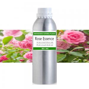 Supply High Quality Aroma Ravensara Essential Oil 