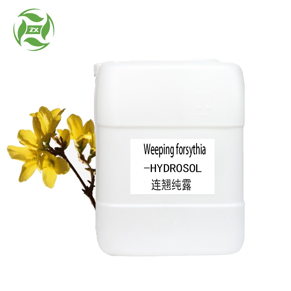 Wholesale 100% pure and natural Natural Weeping forsythia Hydrosol Forsythia Floral Hydrosol With Hot Selling Price