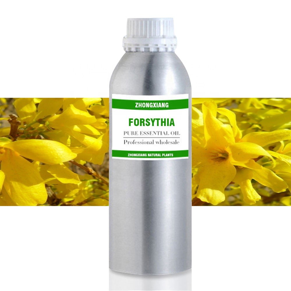 Factory Supply Weeping forsythia Essential Oils 100% Pure and Natural bulk