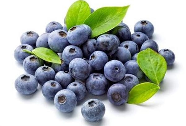 Wholesale Food Grade Blueberry essence bulk