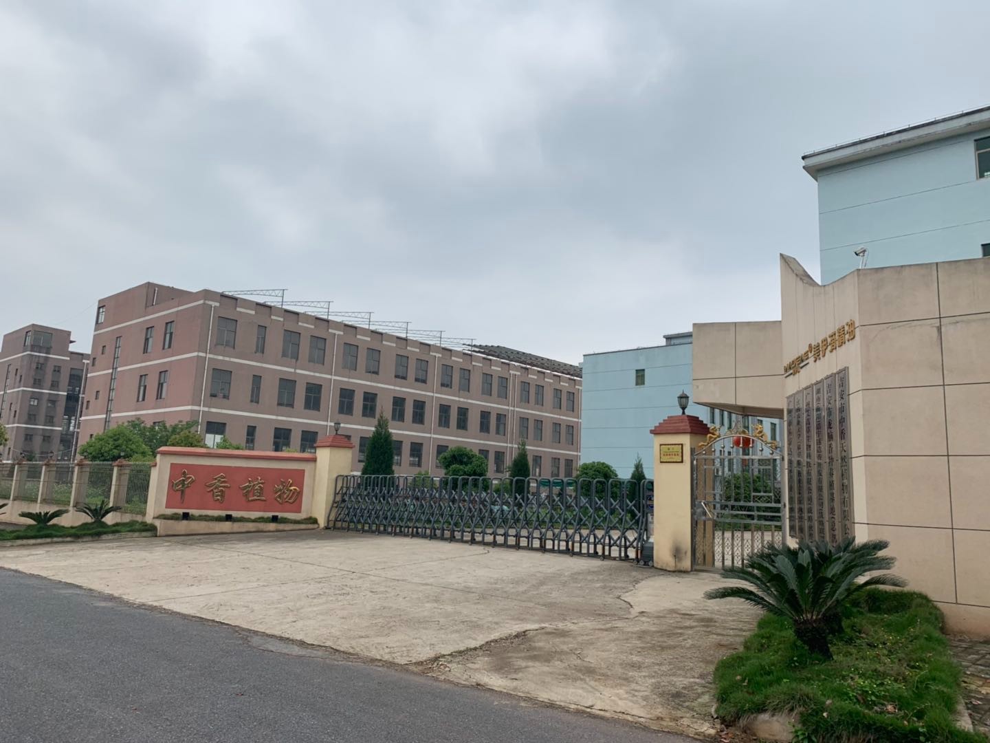 Wholesale bulk price carrier oil 100% pure natural mustard oil