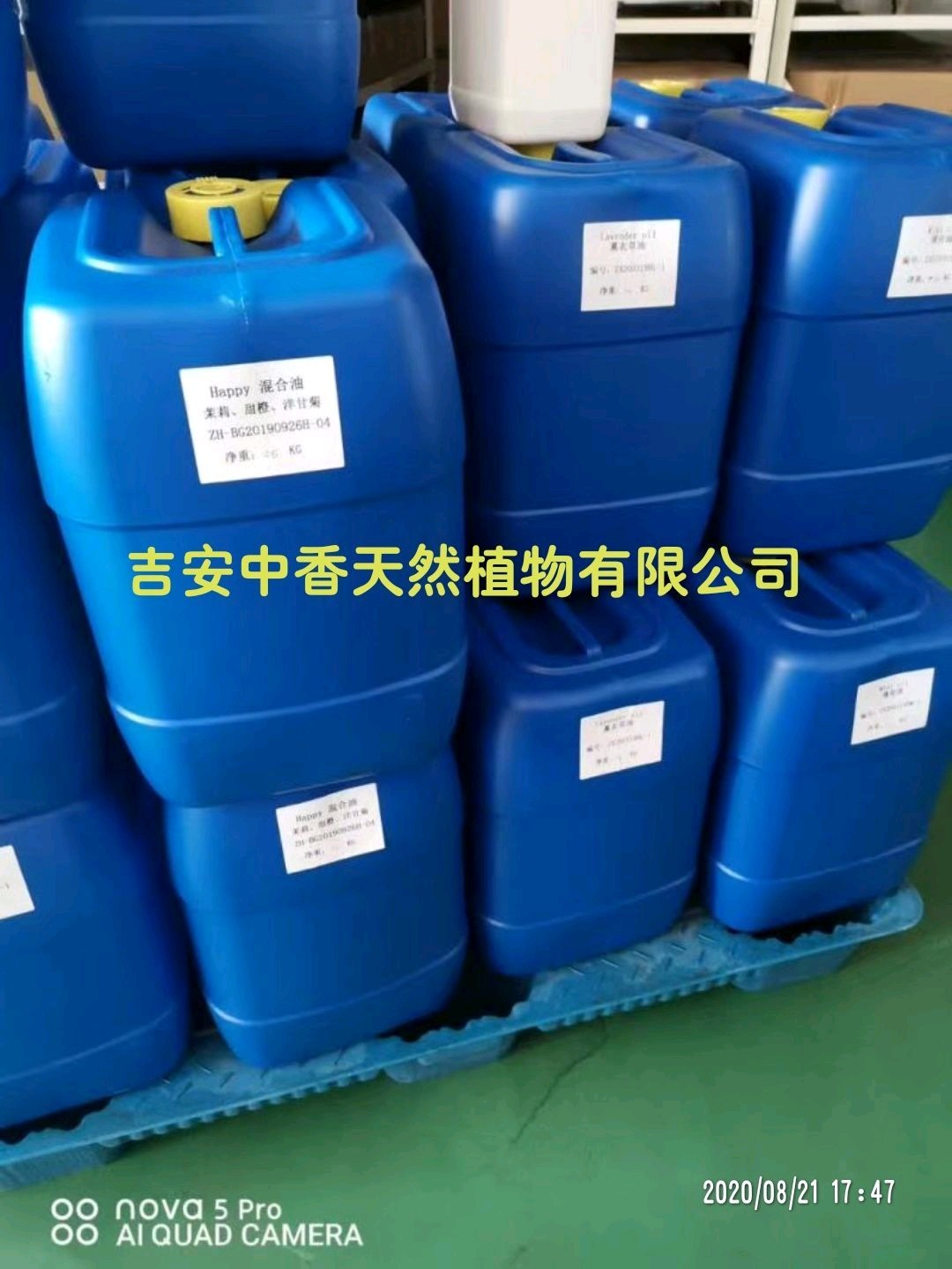 Wholesale bulk price therapeutic grade cedar essential oil 100% pure natural cedarwood oil