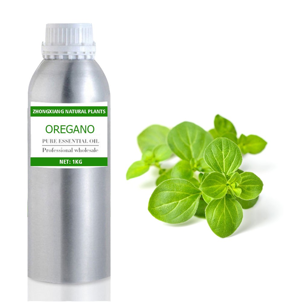 Wholesale bulk price therapeutic grade essential oil 100% pure natural organic oregano oil