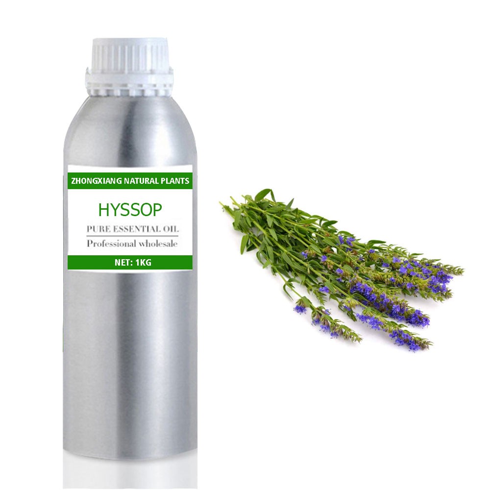 Wholesale bulk price therapeutic grade essential oil 100% pure natural hyssop oil
