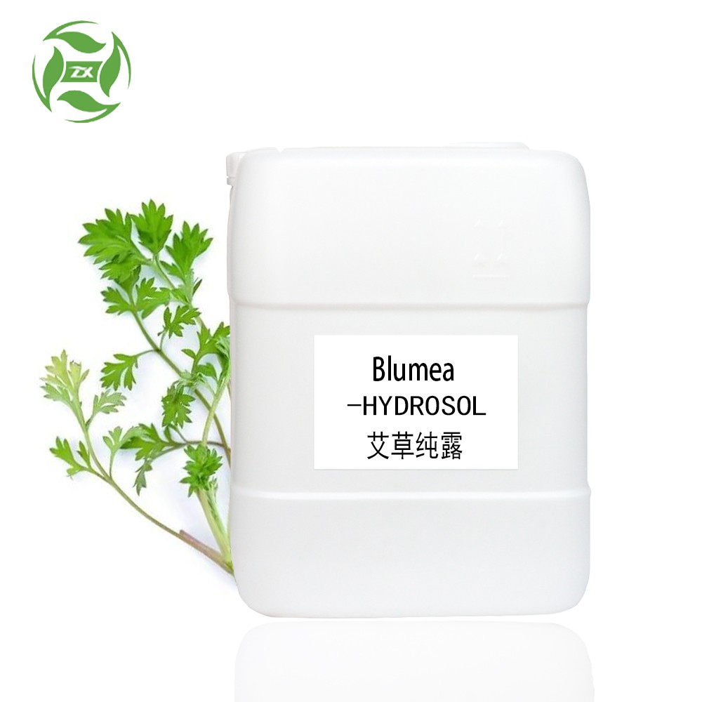 100% pure essential oil extract Mugwort leaf hydrosol blumea hydrosol