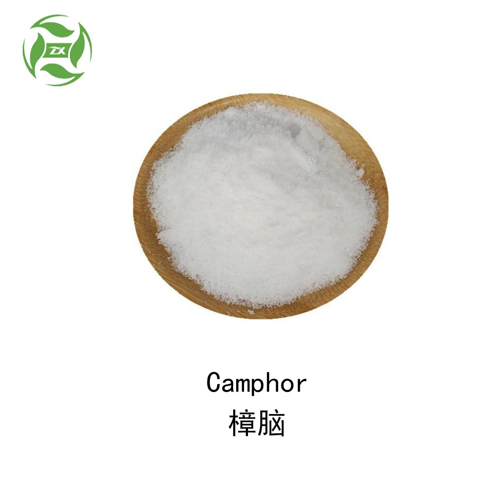 new batch natural camphor powder from camphor oil