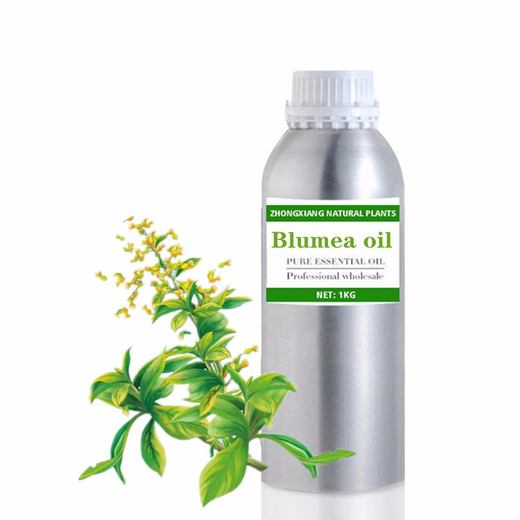 Wholesale Blumea essential oil at bulk price