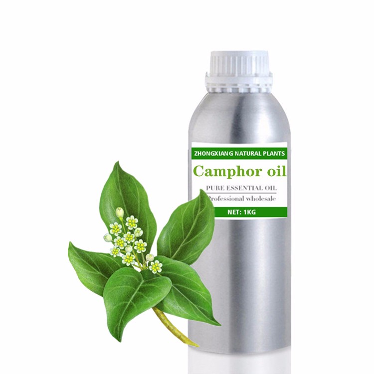 Supply Raw Material Camphor essential oil at bulk price