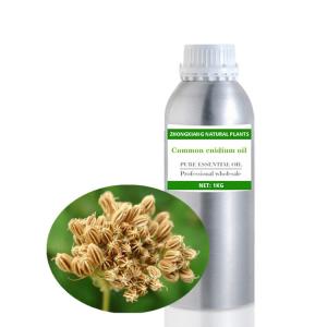 Wholesale Common cnidium essential oil at bulk price Wholesale Common cnidium essential oil at bulk price