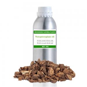 Chinese Herbal Notopterygium essential oil at bulk price Chinese Herbal Notopterygium essential oil at bulk price