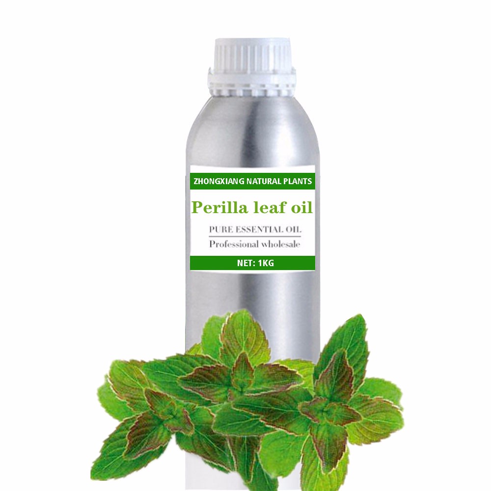 Wholesale Perilla leaf essential oil at bulk price